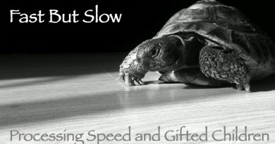 Fast But Slow